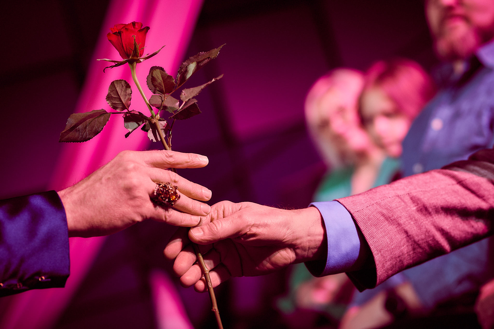 Käsi ojentaa ruusua toiselle.